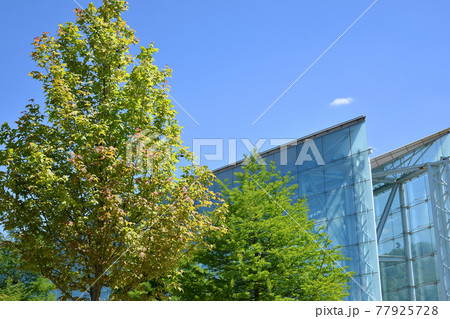 ≪京都府　道の駅　ガレリアかめおか　新緑≫　京都府亀岡市 77925728