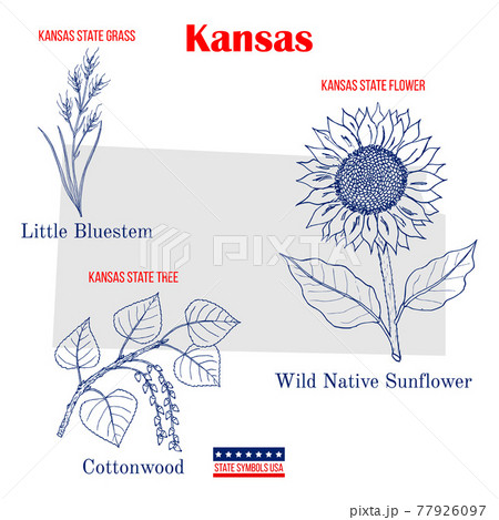 Kansas. Set of USA official state symbols 77926097