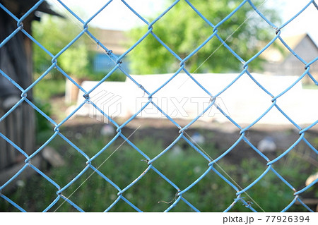 Metallic blue mesh on a green blurred background. Selective focus. Blue grid Metallic blue mesh on a green blurred background. Selective focus. Blue grid 77926394