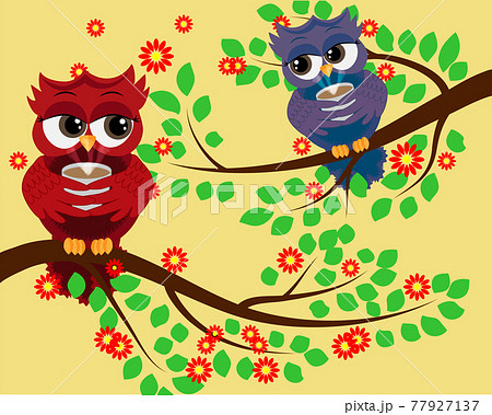 2 Red Cute Flirtatious Owls On Branches With A のイラスト素材
