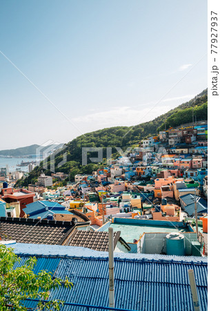 Panoramic view of Gamcheon Culture Village in Busan, Korea 77927937
