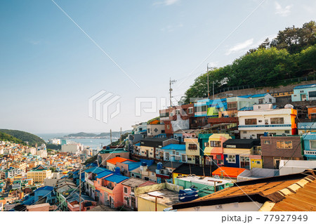 Panoramic view of Gamcheon Culture Village in Busan, Korea Panoramic view of Gamcheon Culture Village in Busan, Korea 77927949
