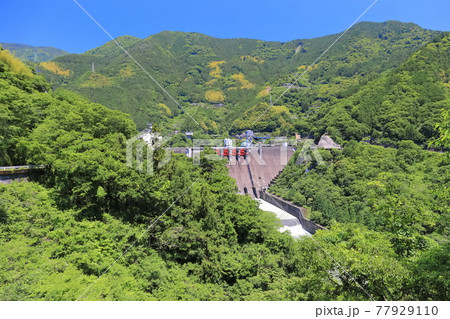 【高知県】新緑の大渡ダム 77929110