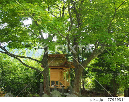 サムハラ神社奥の院 サムハラ神社奥の院 77929314