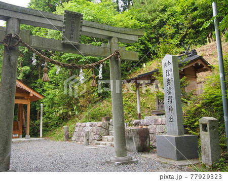 サムハラ神社奥の院 サムハラ神社奥の院 77929323