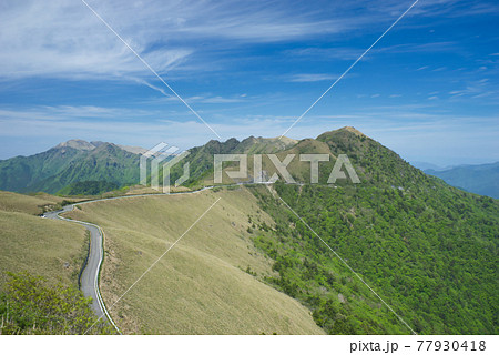 初夏の瓶ヶ森林道ドライブウェイ1 初夏の瓶ヶ森林道ドライブウェイ1 77930418