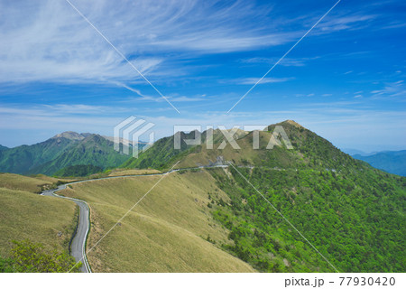 初夏の瓶ヶ森林道ドライブウェイ2 初夏の瓶ヶ森林道ドライブウェイ2 77930420