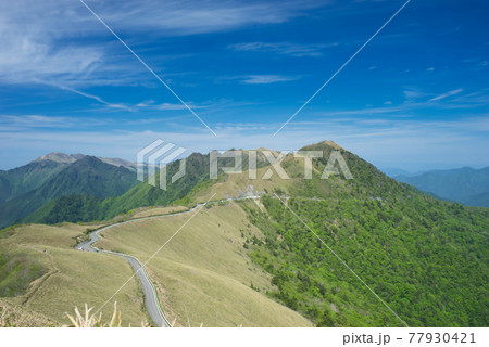 初夏の瓶ヶ森林道ドライブウェイ3 77930421
