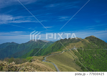初夏の瓶ヶ森林道ドライブウェイ7 初夏の瓶ヶ森林道ドライブウェイ7 77930425
