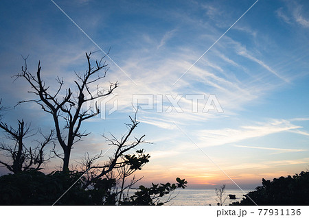 青空と茜色の空 77931136