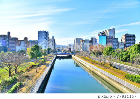 木場公園／木場公園大橋より末広橋方面を望む(東京都江東区)【2020.11】 77931157