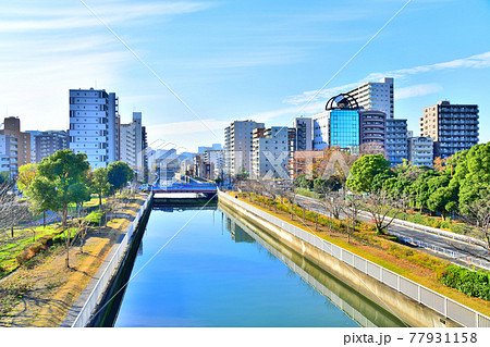木場公園／木場公園大橋より末広橋方面を望む(東京都江東区)【2020.11】 77931158