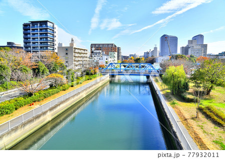 木場公園／木場公園大橋より崎川橋方面を望む(東京都江東区)【2020.11】 77932011
