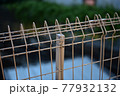 濡れたフェンス 77932132