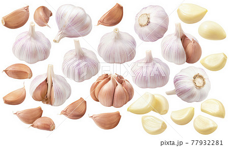 Big set of garlic. Bulbs, heads, cloves, segments isolated on white background 77932281