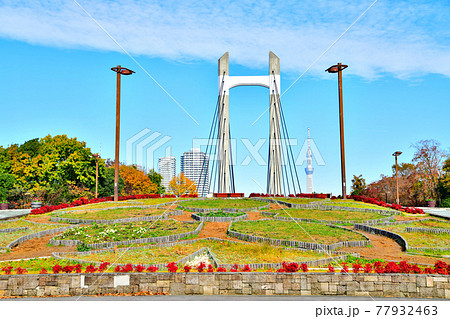 木場公園／木場公園大橋(東京都江東区)【2020.11】 77932463