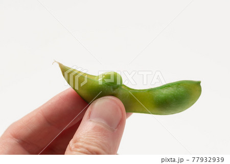 枝豆 ゆで豆 枝豆 ゆで豆 77932939