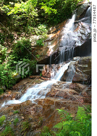 雄淵の滝2 縦向き 雄淵の滝2 縦向き 77934487