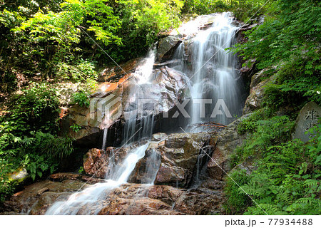 雄淵の滝 横向き 雄淵の滝 横向き 77934488