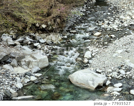 神奈川県 西丹沢の渓谷1 神奈川県 西丹沢の渓谷1 77935527