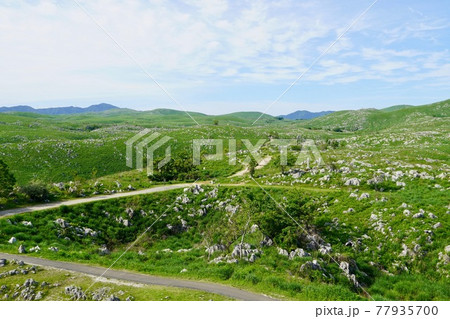 秋吉台（カルスト展望台付近からの眺め 77935700