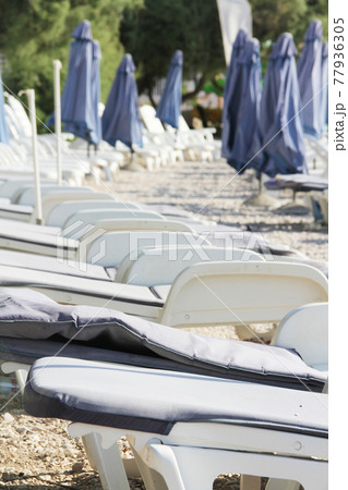 Rows of empty chaise-lounges 77936305