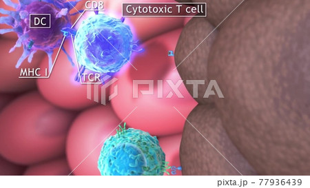 Animation of skin ,medical illustration 77936439