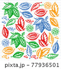 Colorful cocoa beans illustration on black background. Engraved style illustration. Chocolate cocoa beans. Vector pattern illustration 77936501