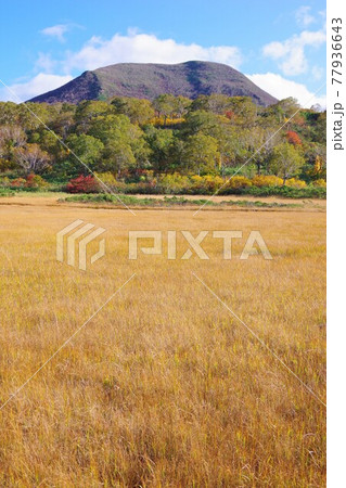 北海道共和町 秋の神仙沼湿原とチセヌプリ 北海道共和町 秋の神仙沼湿原とチセヌプリ 77936643