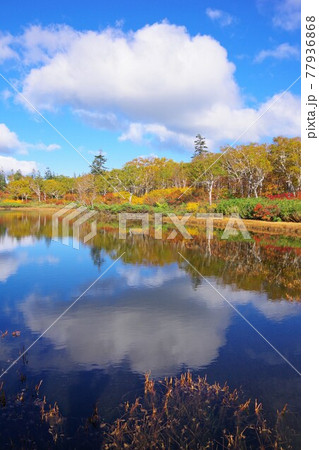 北海道共和町　神仙沼 77936868