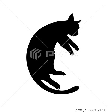 Black silhouette of cat. Vector illustration. 77937134