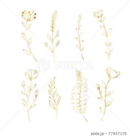 Set of golden flowers. Decoration floral elements for wedding. Vector isolated spring gold poppy, rose, lily. 77937170