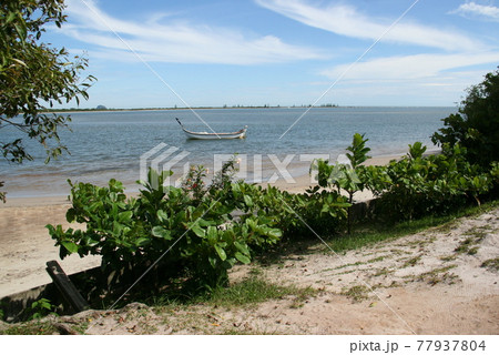 パラナ州東部の漁村　ブラジル 77937804