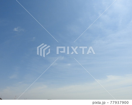 青空 77937900