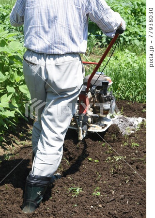 家庭菜園・ミニ耕運機で土づくり 77938030