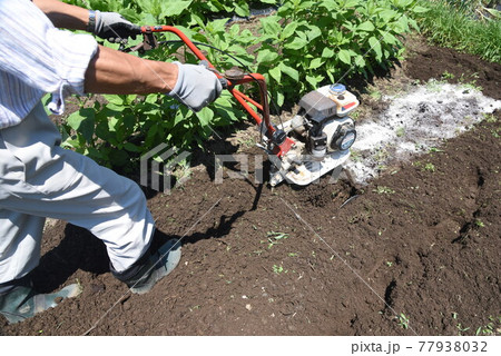 家庭菜園・ミニ耕運機で土づくり 77938032