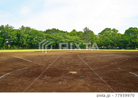 新緑の、千葉県船橋市、小室公園、野球場 新緑の、千葉県船橋市、小室公園、野球場 77939970