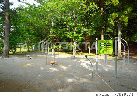新緑の、千葉県船橋市、小室公園、健康器具広場 77939971