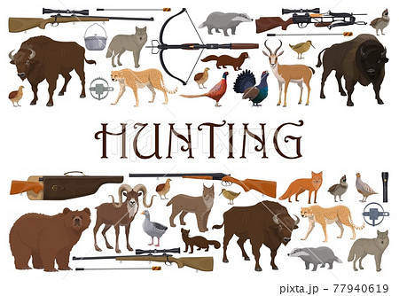 Hunting, animals and rifle guns, safari hunt sport Hunting, animals and rifle guns, safari hunt sport 77940619