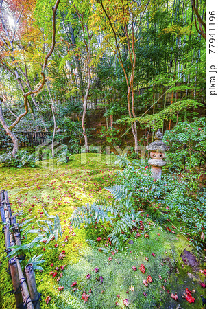 紅葉の祇王寺 草庵横の灯篭(京都) 紅葉の祇王寺 草庵横の灯篭(京都) 77941196