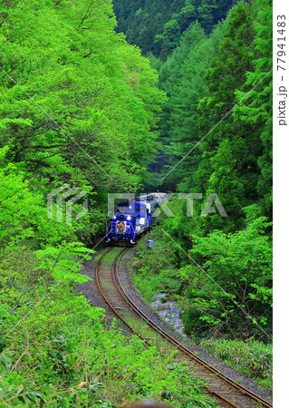 奥出雲おろち号 奥出雲おろち号 77941483