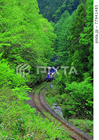 奥出雲おろち号 奥出雲おろち号 77941485