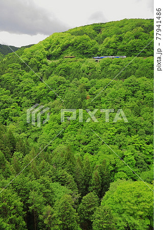 奥出雲おろち号 奥出雲おろち号 77941486