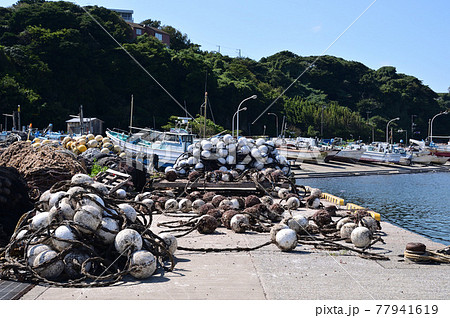 三浦半島・金田漁港の風景 77941619