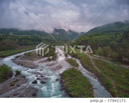 雪解け水で増水した松川と新緑（ドローンによる空撮）長野県白馬村 77942171