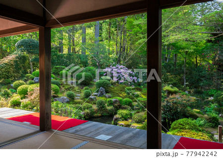 京都　三千院 77942242