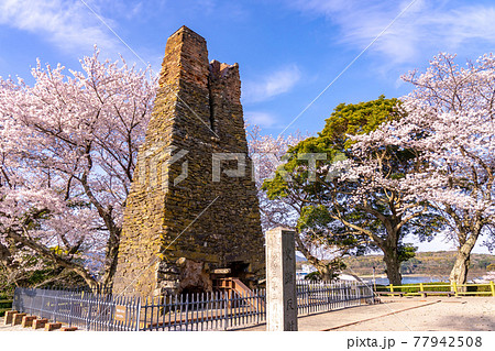 山口県萩市　満開の桜をバックの萩反射炉 77942508