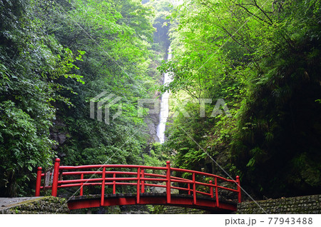 神奈川県山北町の洒水の滝 神奈川県山北町の洒水の滝 77943488