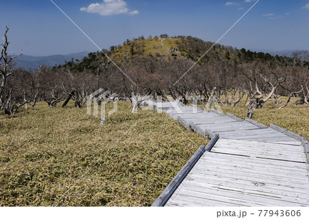 日本奈良県　大台ヶ原山（日出ヶ岳）山頂の遠景　 77943606