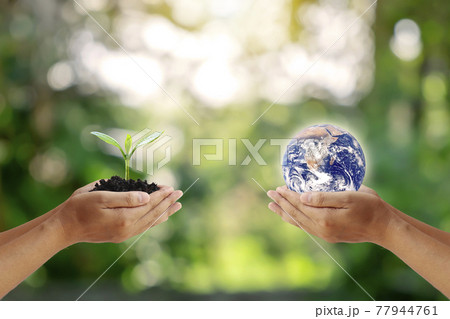 Exchange of planets in the hands of humans with young plants in the hands of humans, concept of Earth Day and Conservation of the Environment.Elements of this image decorated by NASA. 77944761